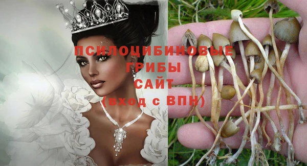 герыч Алзамай