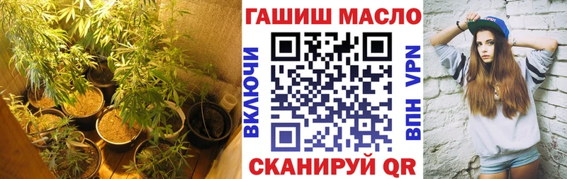 MEGA   Сальск  ТГК концентрат 